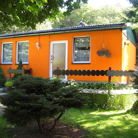 Ferienhaus Petra 엘빙거로드 외부 사진