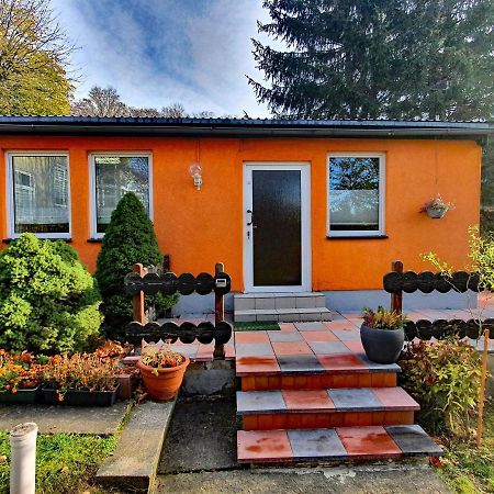 Ferienhaus Petra 엘빙거로드 외부 사진